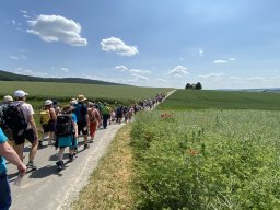 img_2144