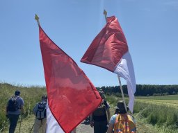 img_2203