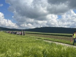 img_9726