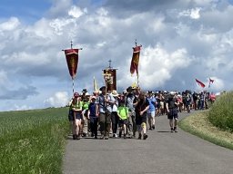 img_6648