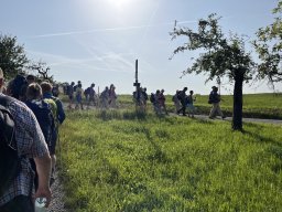 img_2762